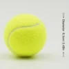 Portable Small Durable Tennis Ball for Training